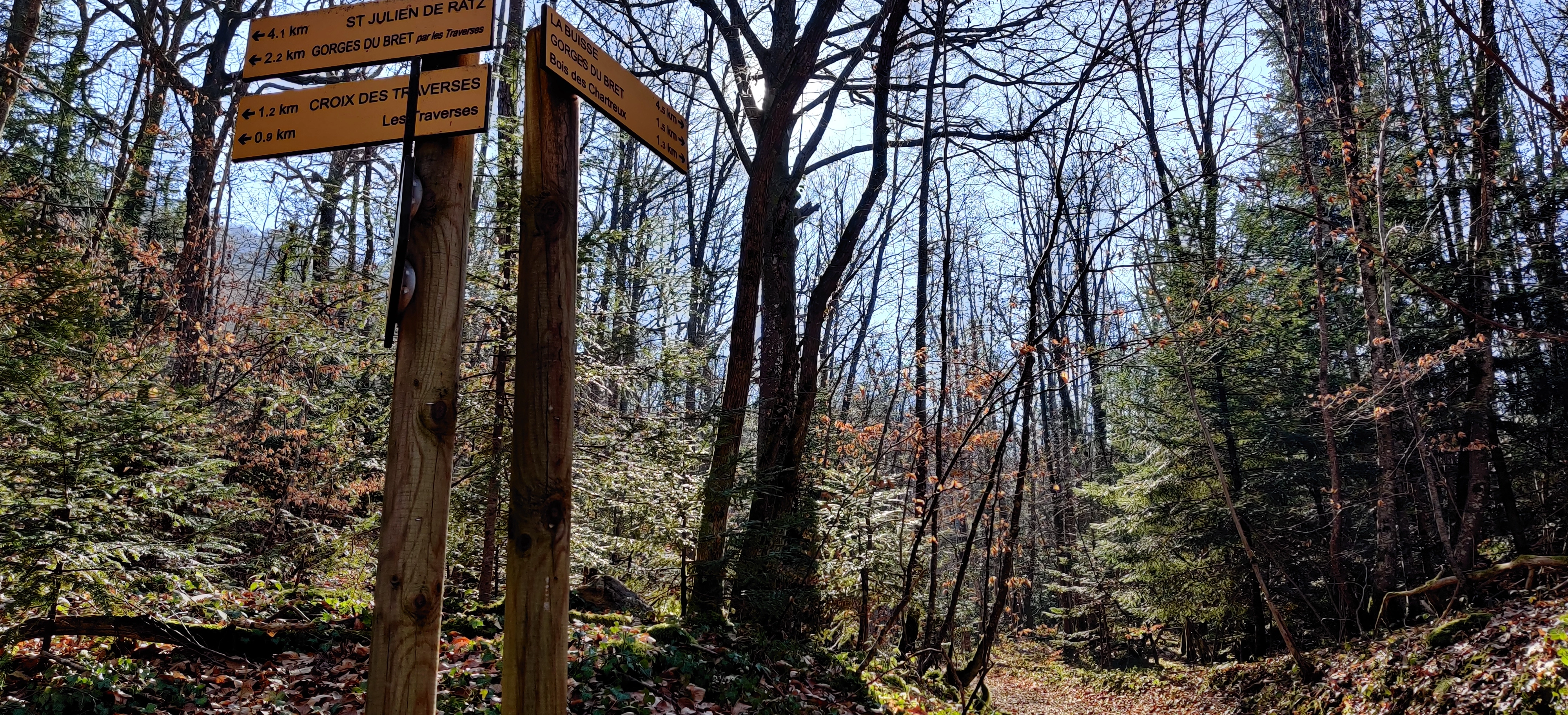 Bois des Chartreux