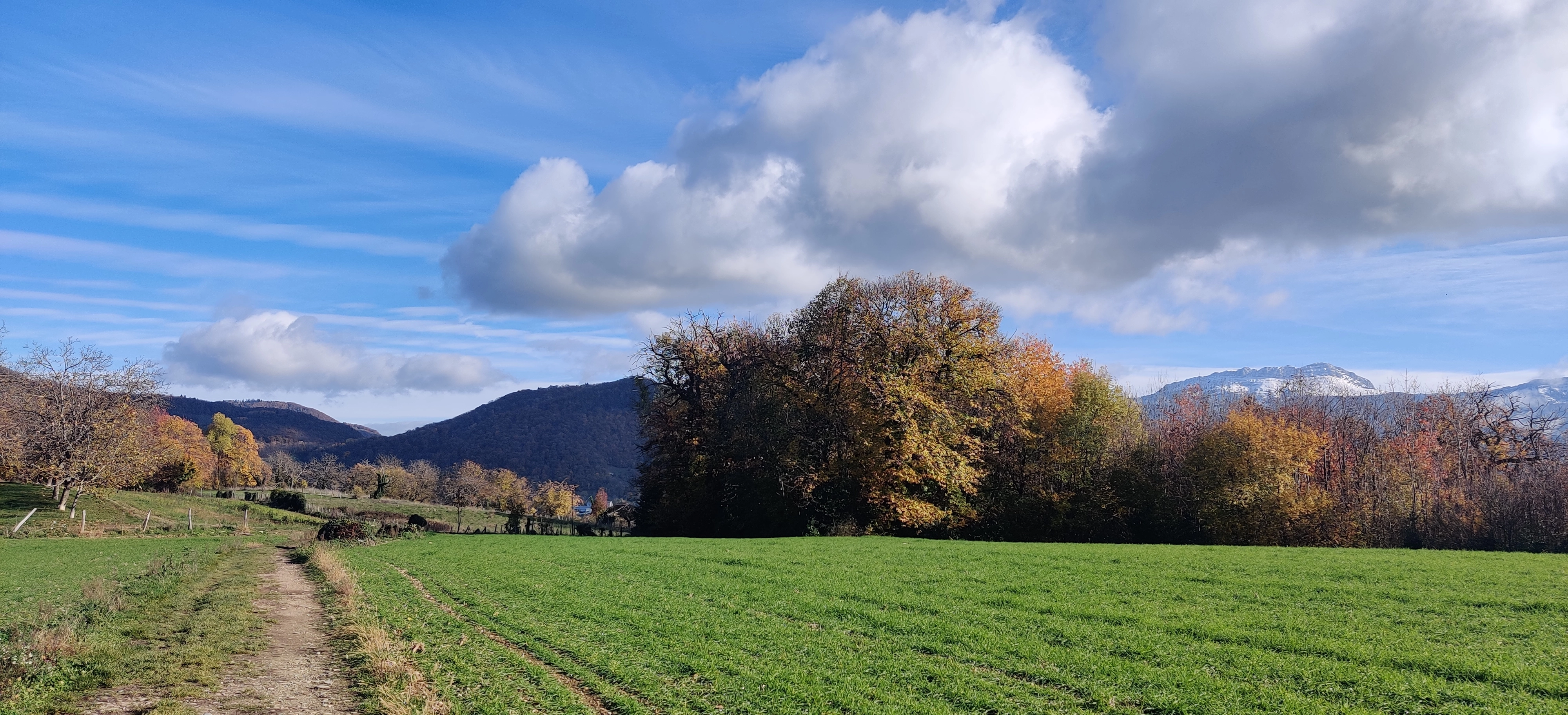 Pratiques physiques, outdoor, marche nordique, marche